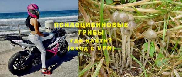 2c-b Богданович