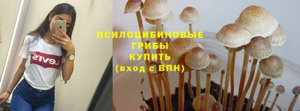 меф Богородск