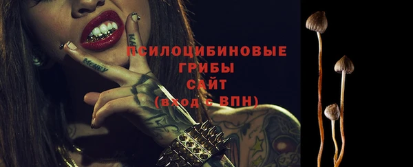 ПСИЛОЦИБИНОВЫЕ ГРИБЫ Богородицк