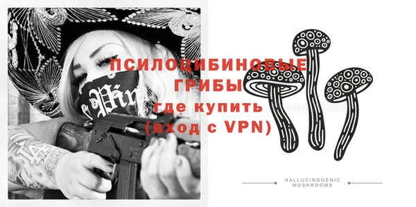 2c-b Богданович
