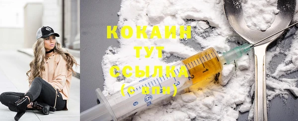 2c-b Богданович